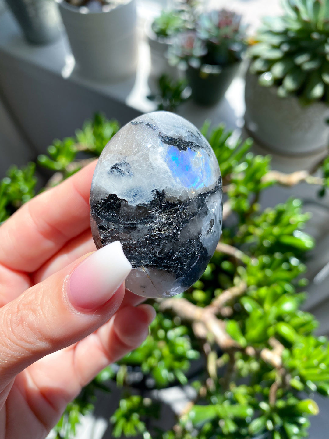 Small Flashy Rainbow Moonstone Palm #1