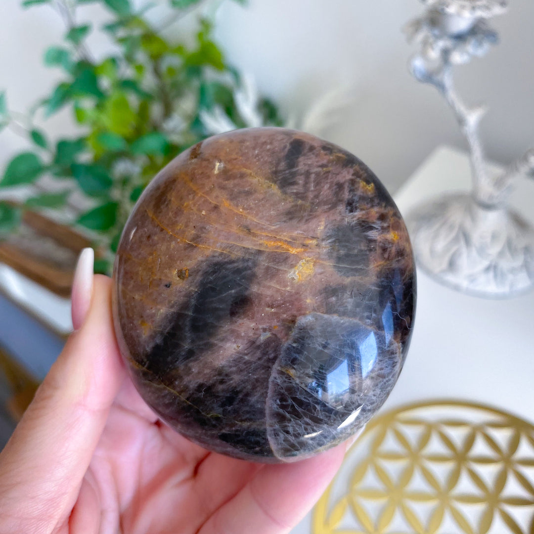 XL Circular Black Moonstone Palm Stone with Sheen 