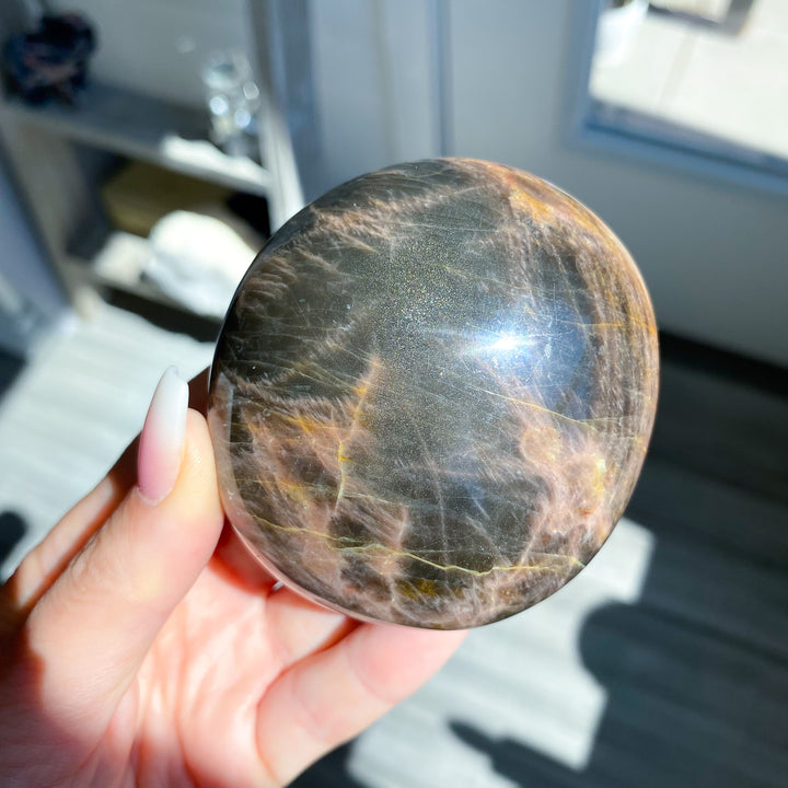 XL Circular Black Moonstone Palm Stone with Sheen 
