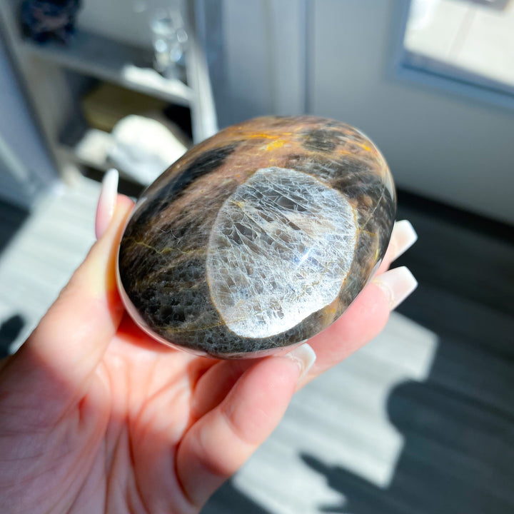 XL Circular Black Moonstone Palm Stone with Sheen 