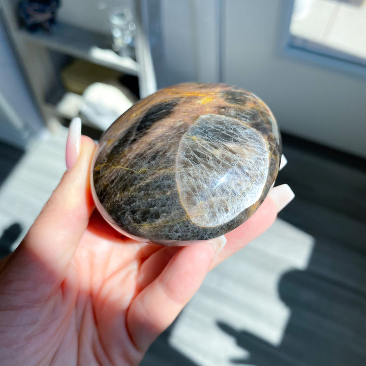 XL Circular Black Moonstone Palm Stone with Sheen 