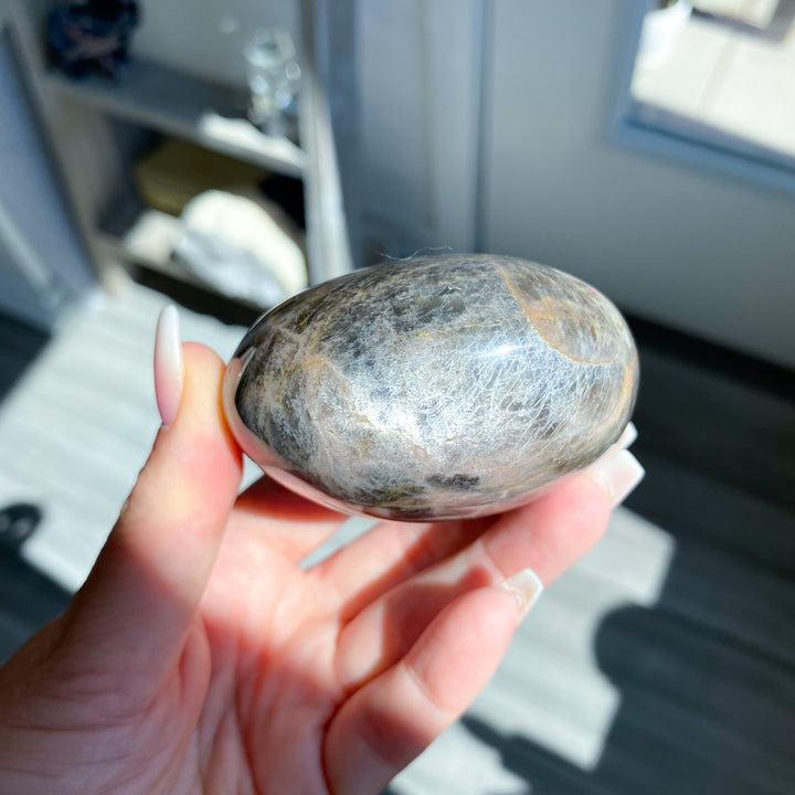 XL Circular Black Moonstone Palm Stone with Sheen 