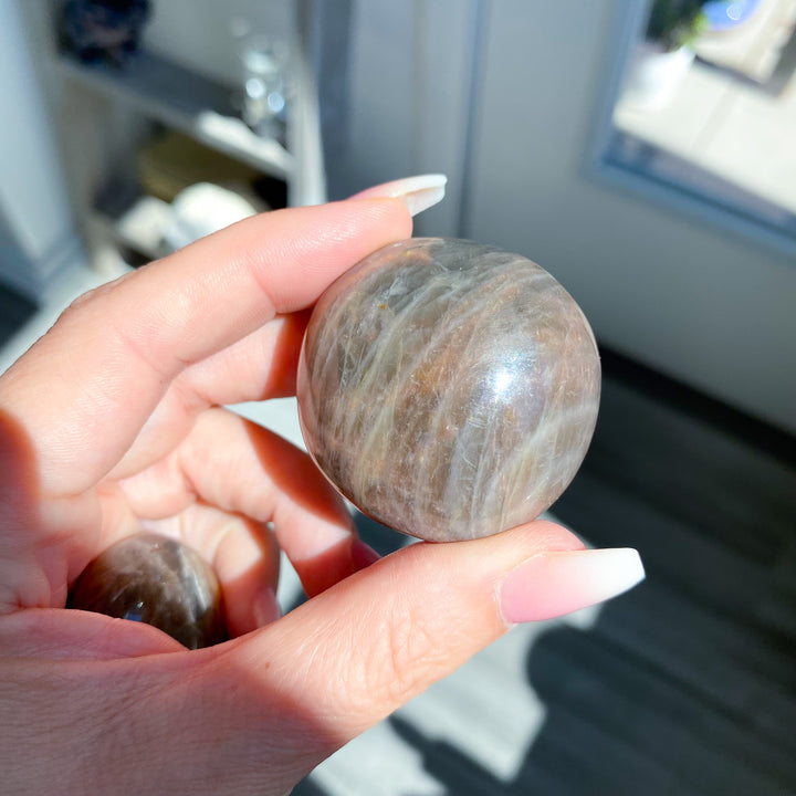 Small Black Moonstone Palm Stone - Choose Your Piece