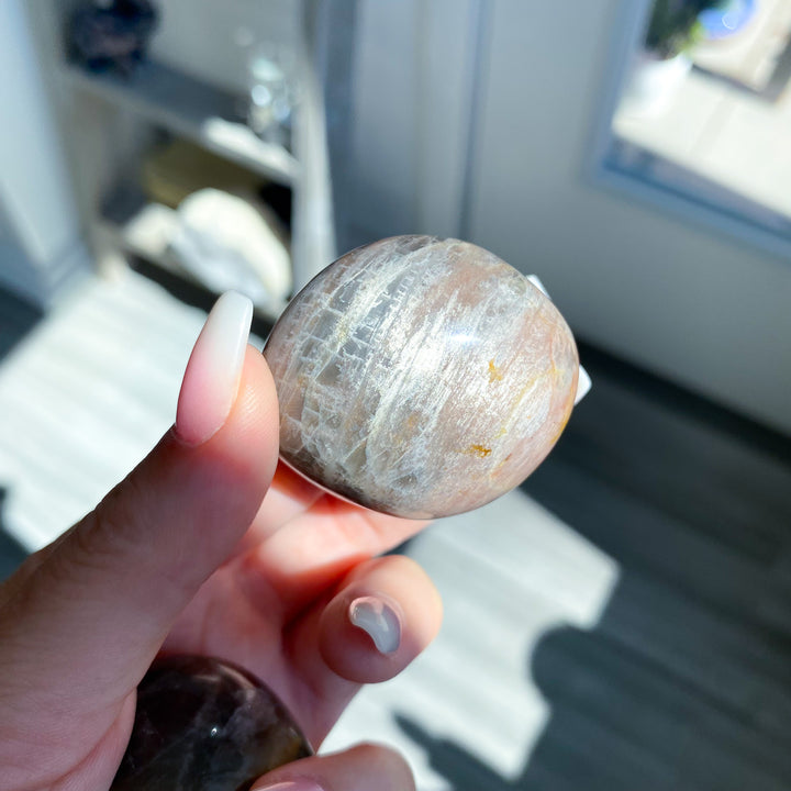 Small Black Moonstone Palm Stone - Choose Your Piece