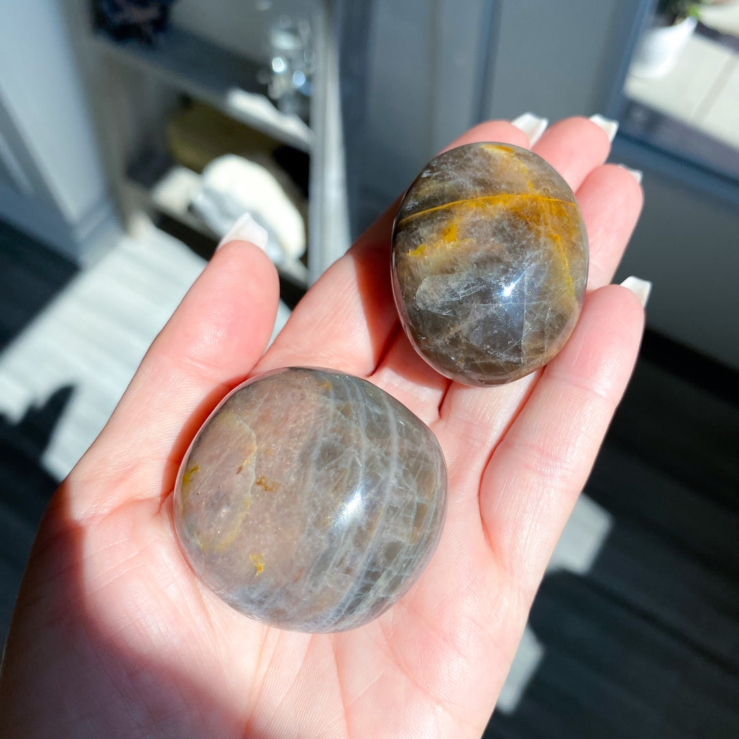 Small Black Moonstone Palm Stone - Choose Your Piece