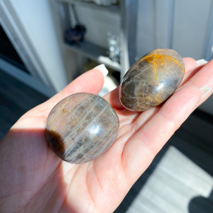 Small Black Moonstone Palm Stone - Choose Your Piece