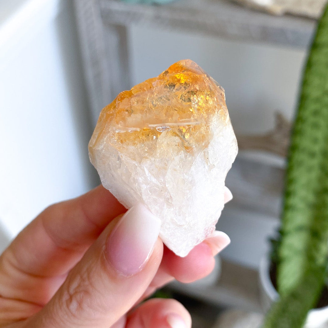 Citrine Raw Piece 