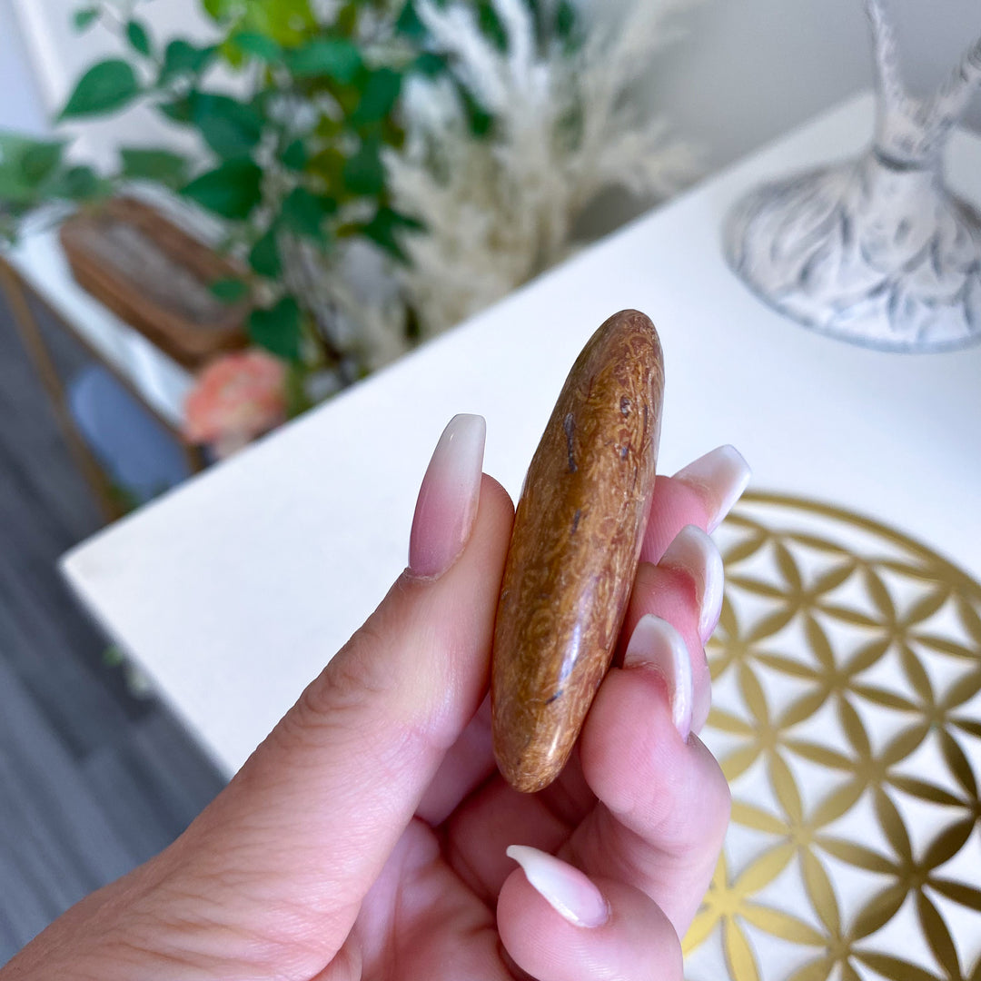 Calligraphy Jasper Palm Stone 