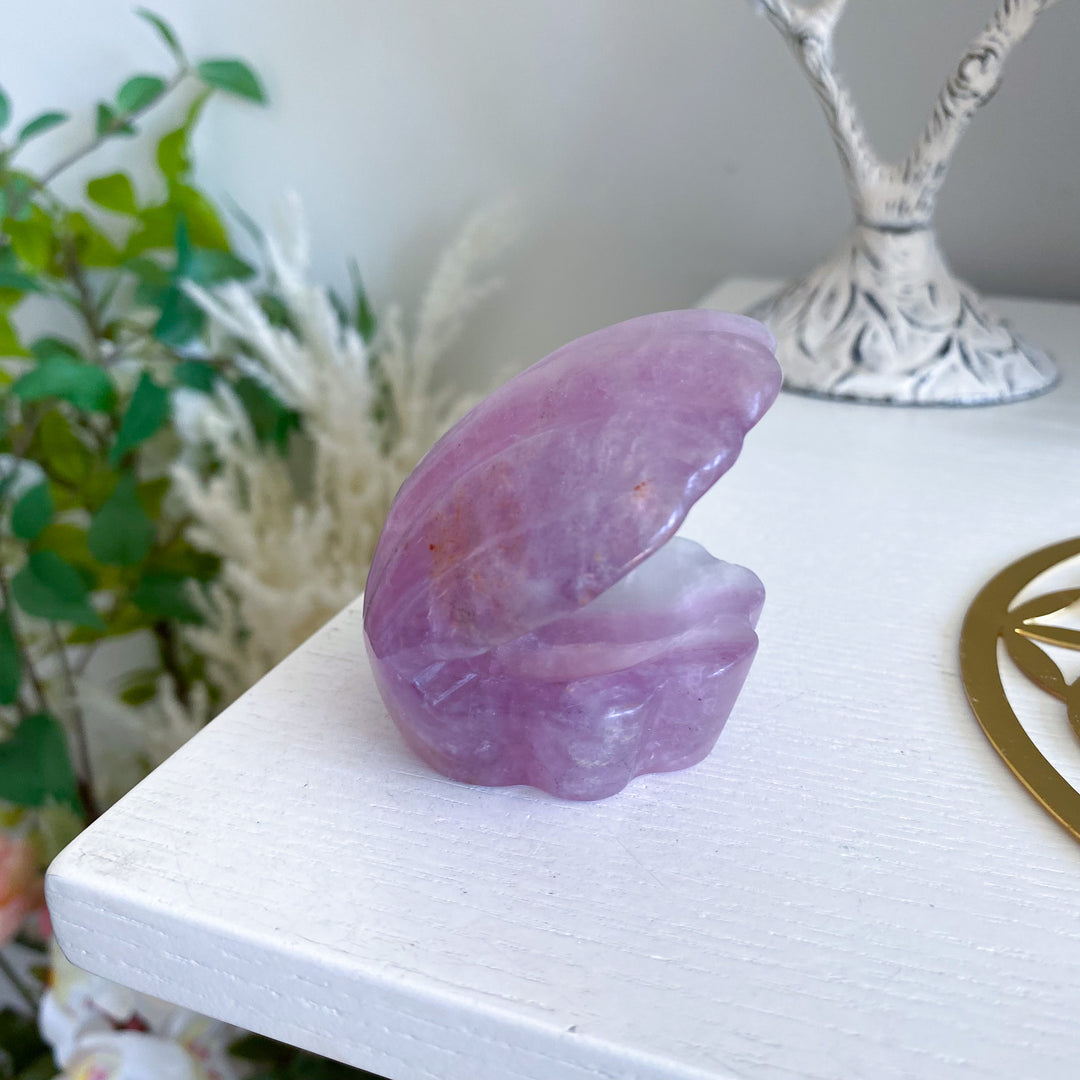 Purple Fluorite Clam Shell 