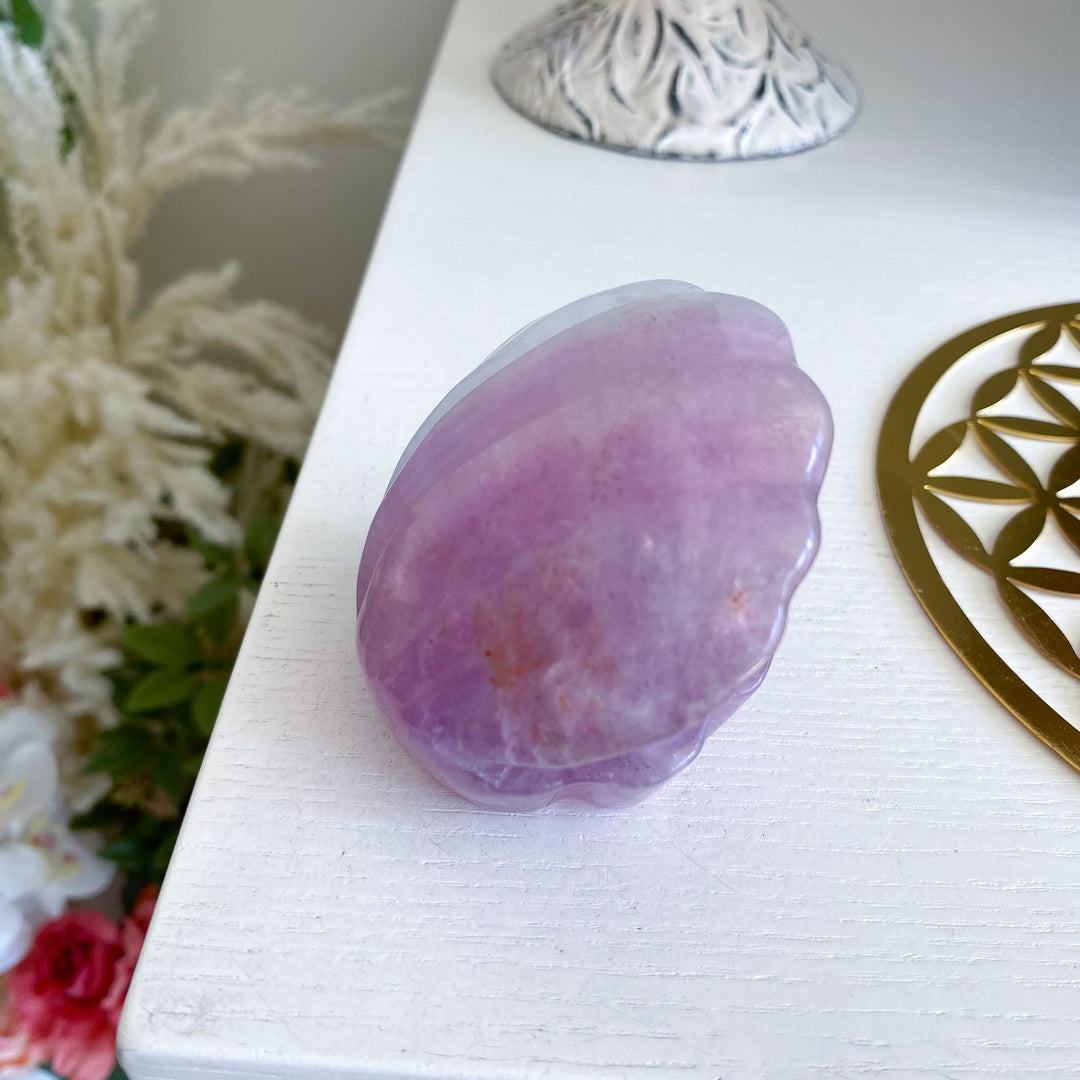 Purple Fluorite Clam Shell 