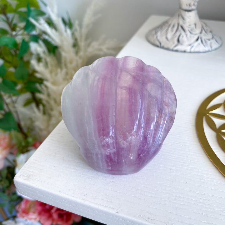 Purple Fluorite Clam Shell 