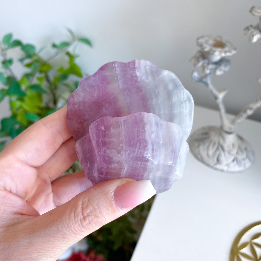 Purple Fluorite Clam Shell 
