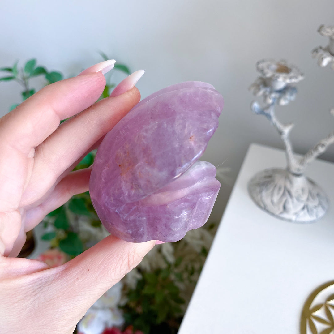 Purple Fluorite Clam Shell 