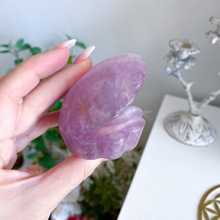 Purple Fluorite Clam Shell 