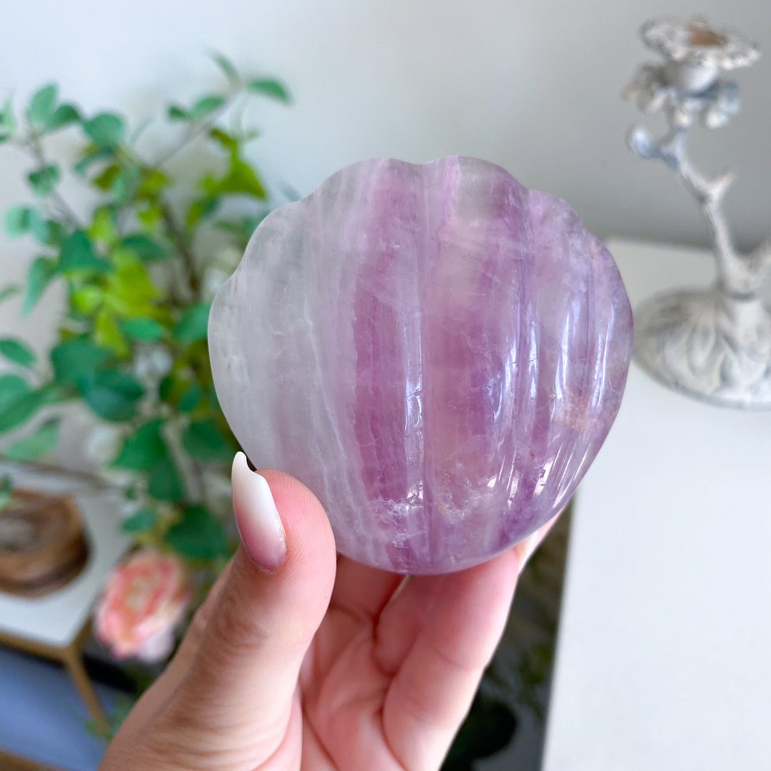 Purple Fluorite Clam Shell 
