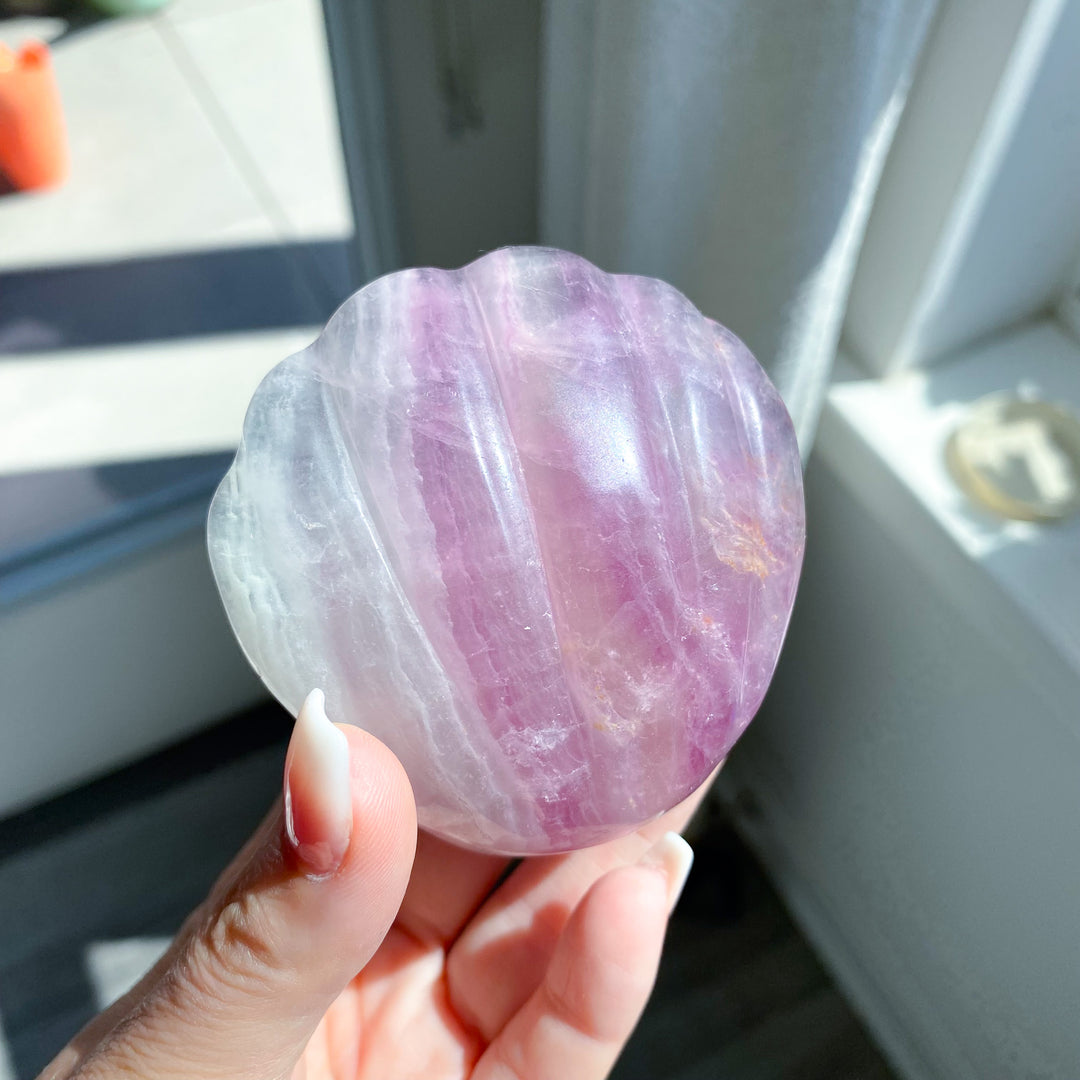 Purple Fluorite Clam Shell 