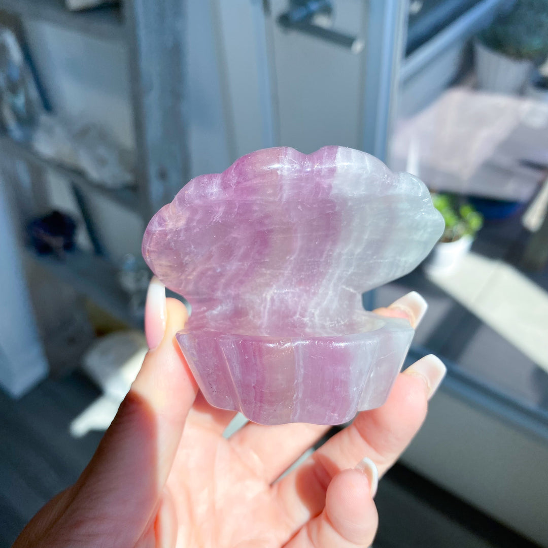Purple Fluorite Clam Shell 