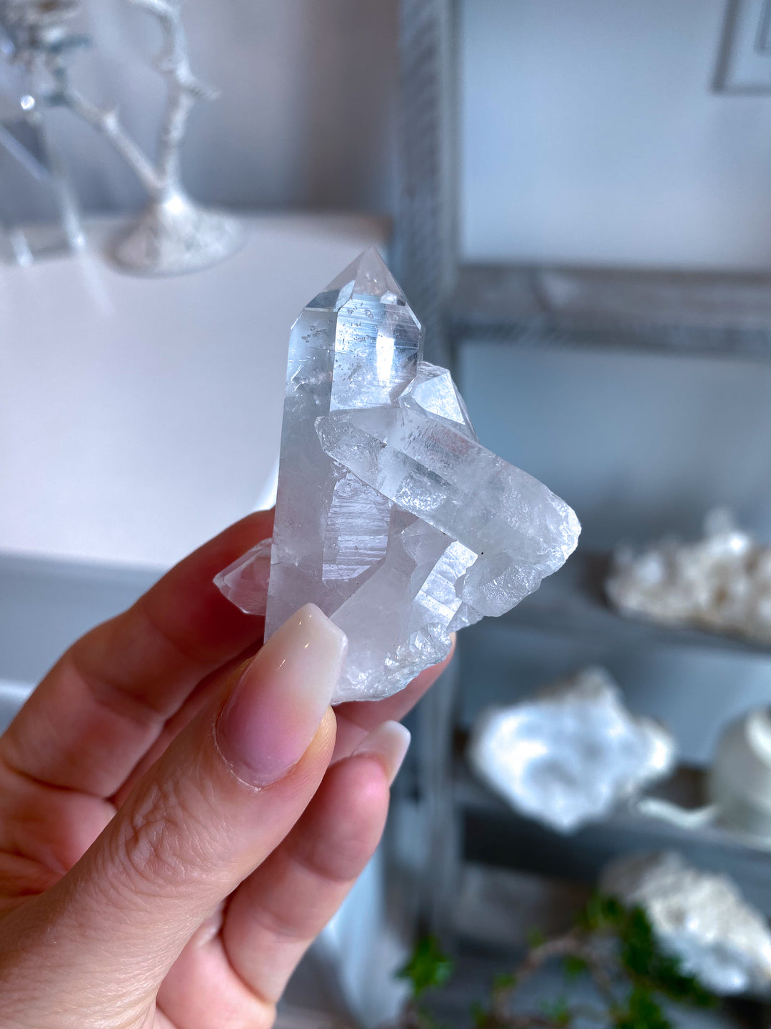 Standing Clear Quartz Cluster: Amplify Intentions