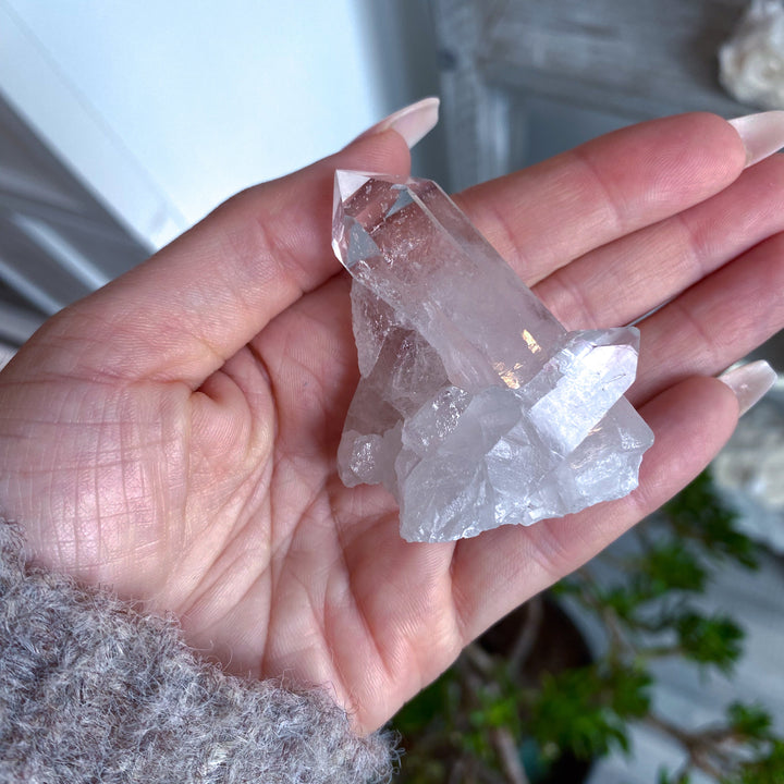 Standing Clear Quartz Cluster: Amplify Intentions