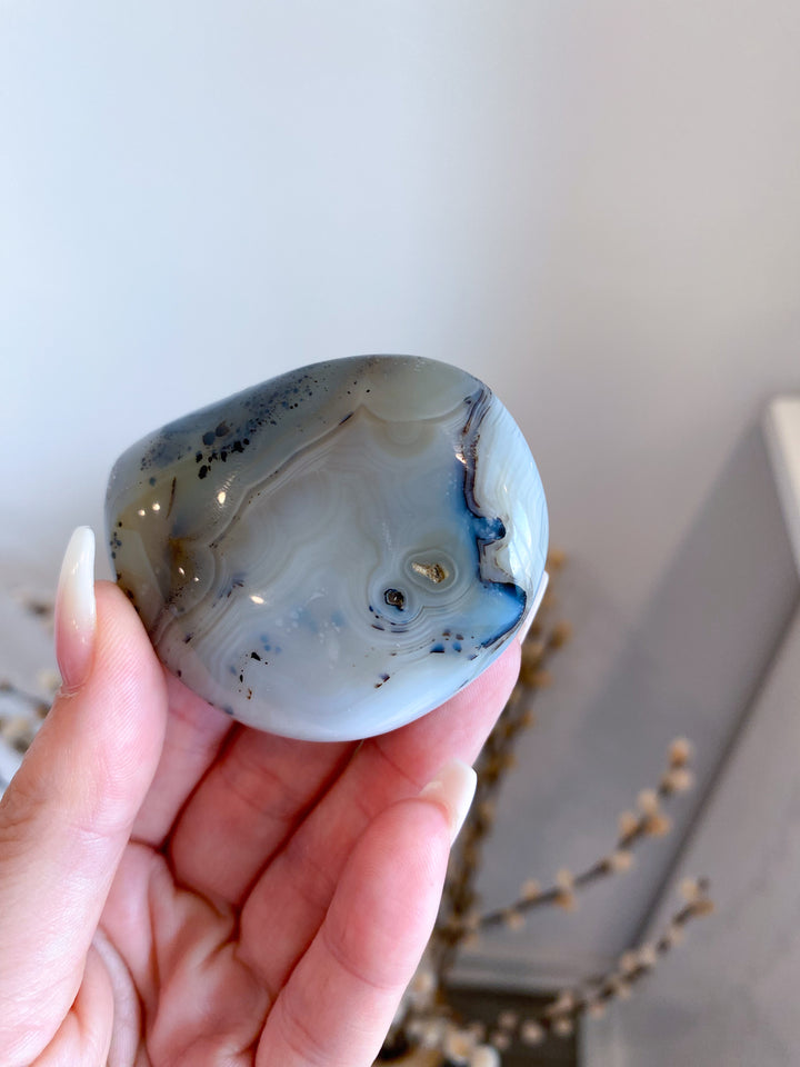 Dendritic Agate Palm Stone - Get Exact Item