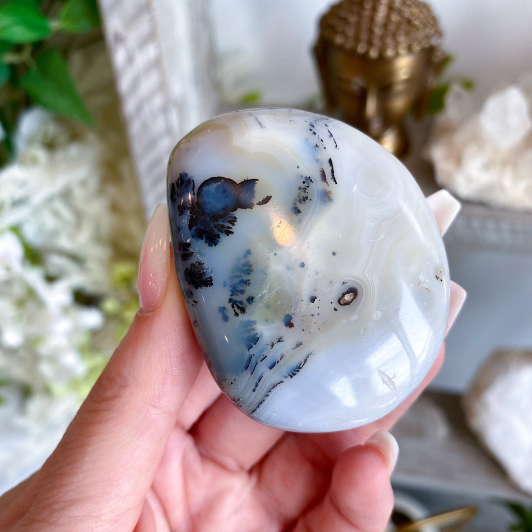 Dendritic Agate Palm Stone - Get Exact Item