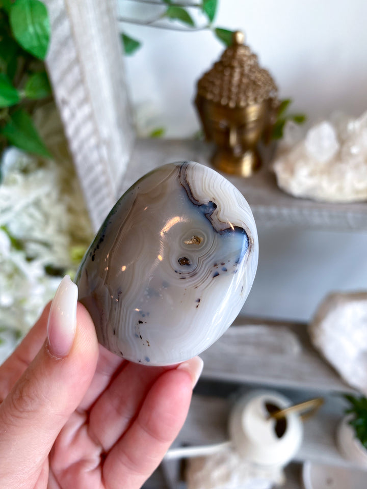 Dendritic Agate Palm Stone - Get Exact Item
