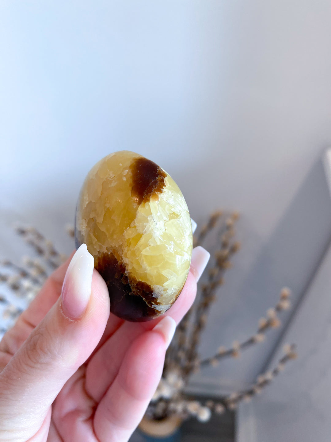 Septarian Palm Stone #3