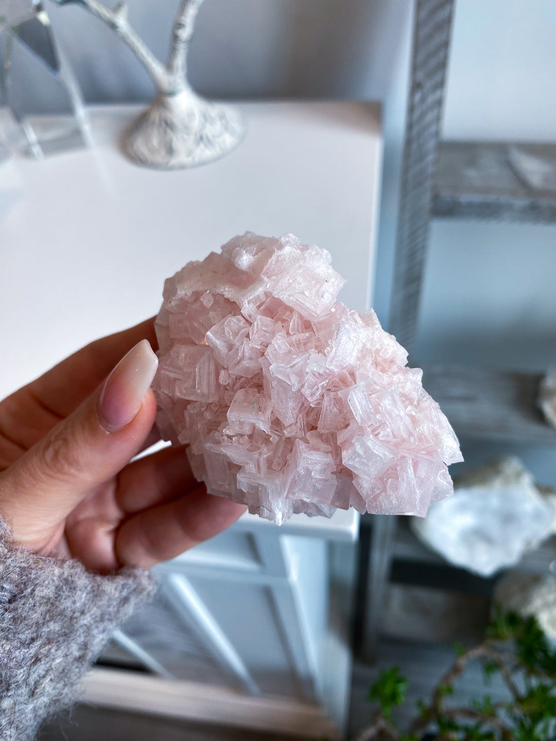 Pink Halite Cluster #2