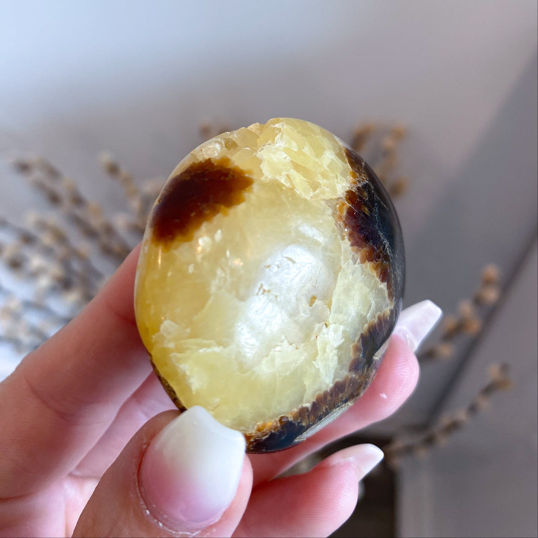 Septarian Palm Stone #3