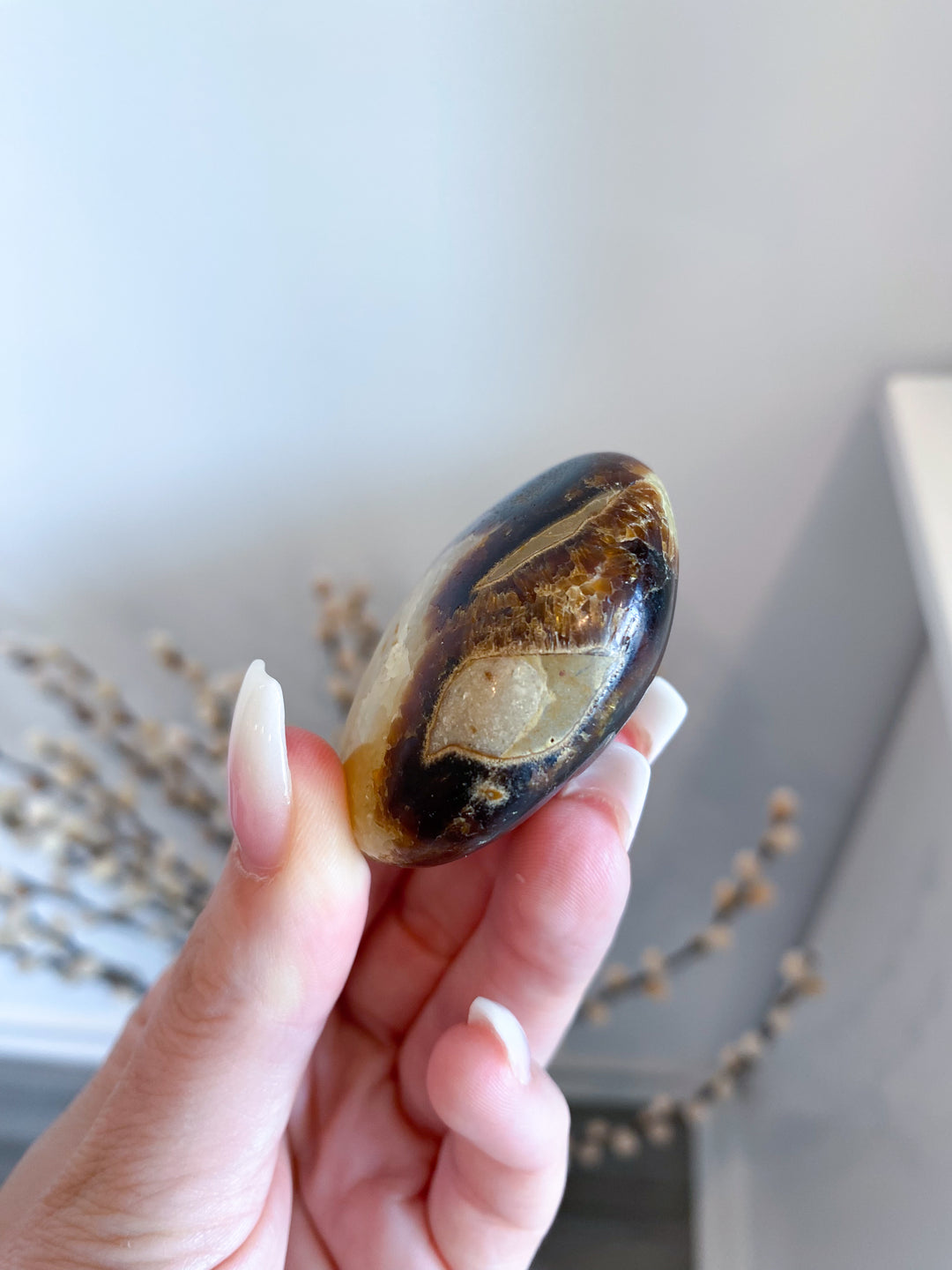 Septarian Palm Stone #3