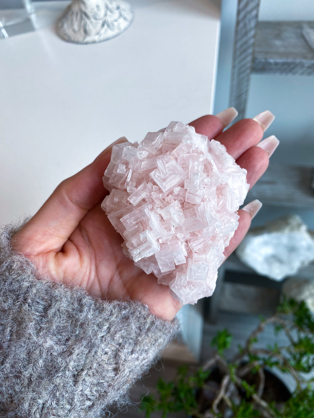 Pink Halite Cluster #2