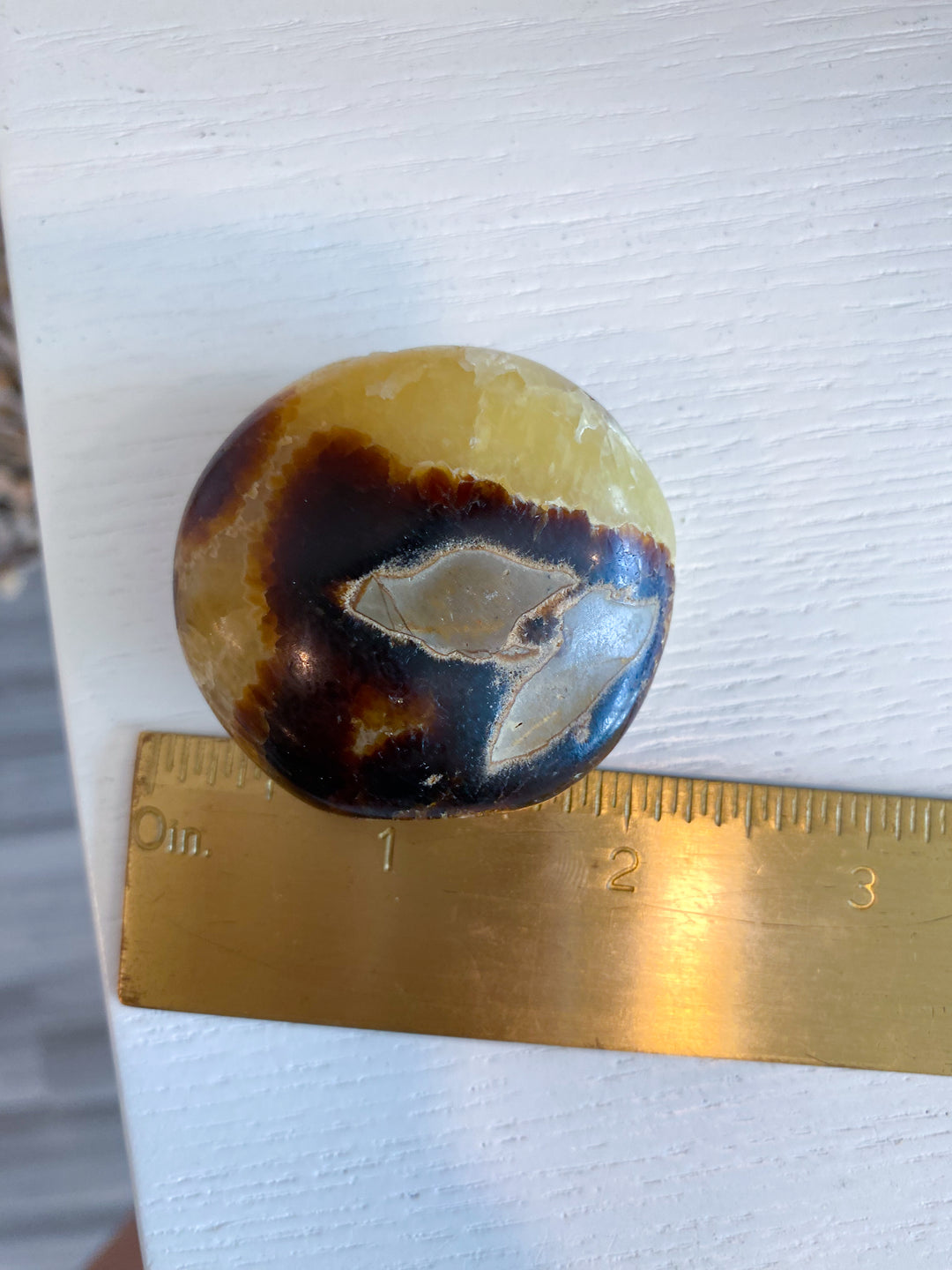 Septarian Palm Stone #3