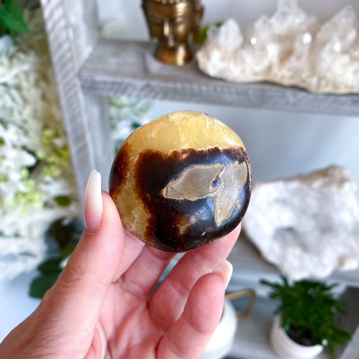 Septarian Palm Stone #3