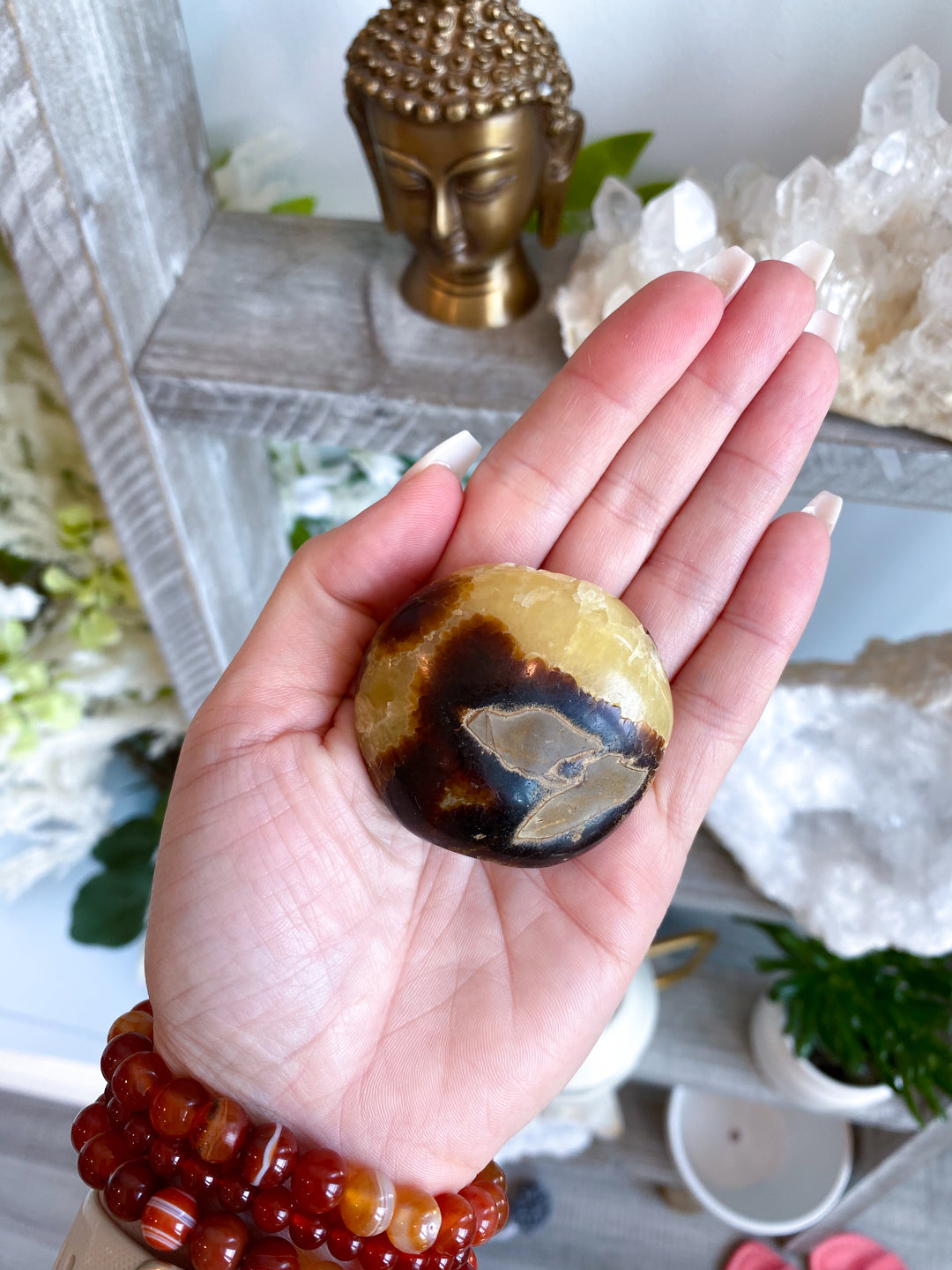 Septarian Palm Stone #3