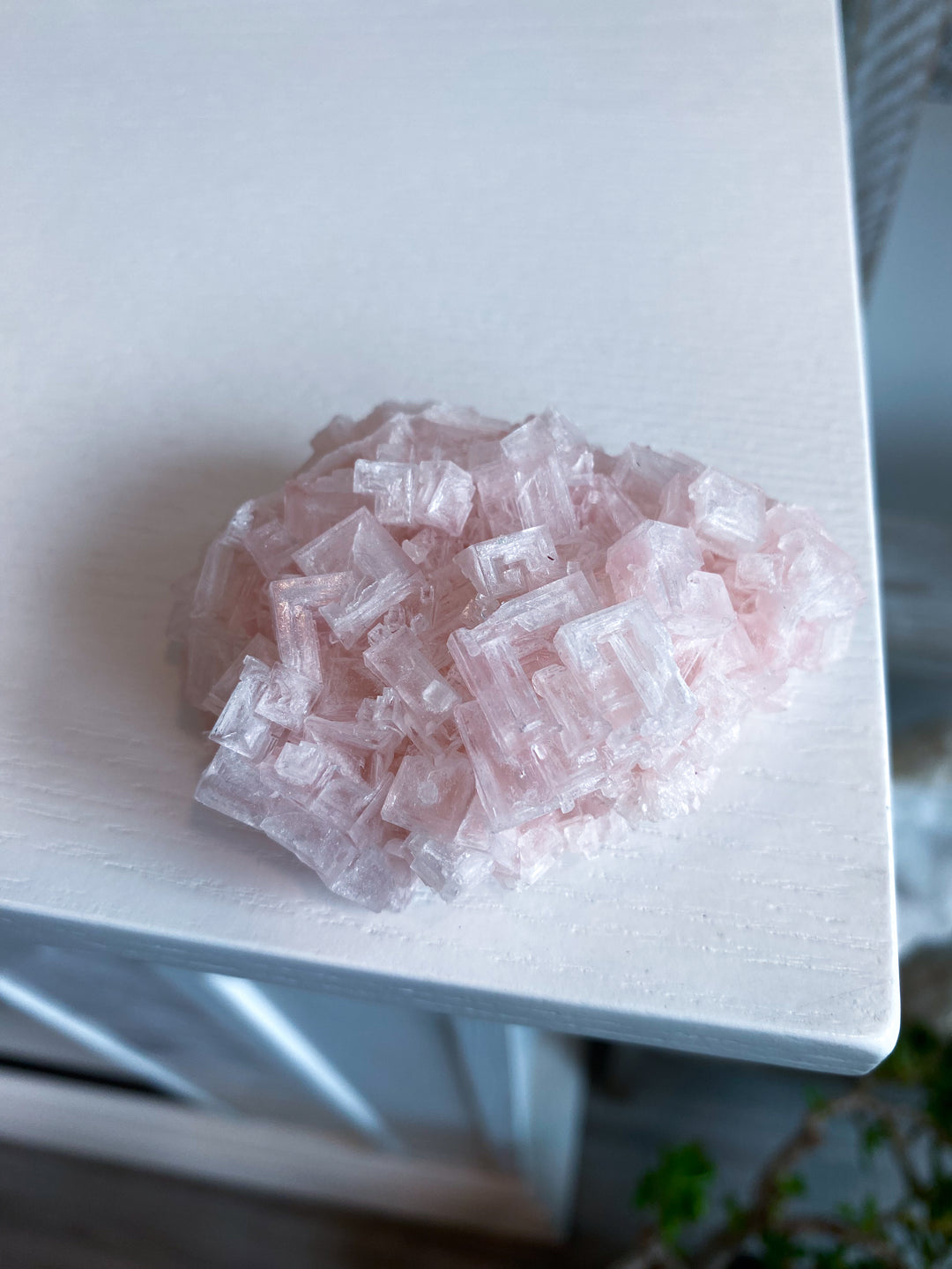 Pink Halite Cluster #2