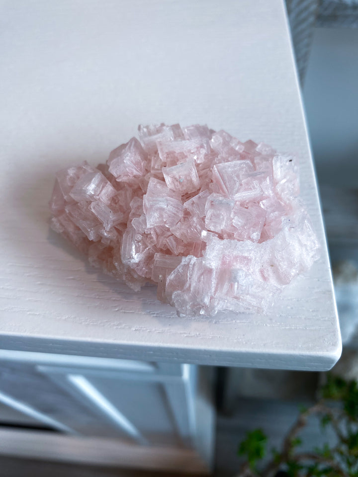 Pink Halite Cluster #2