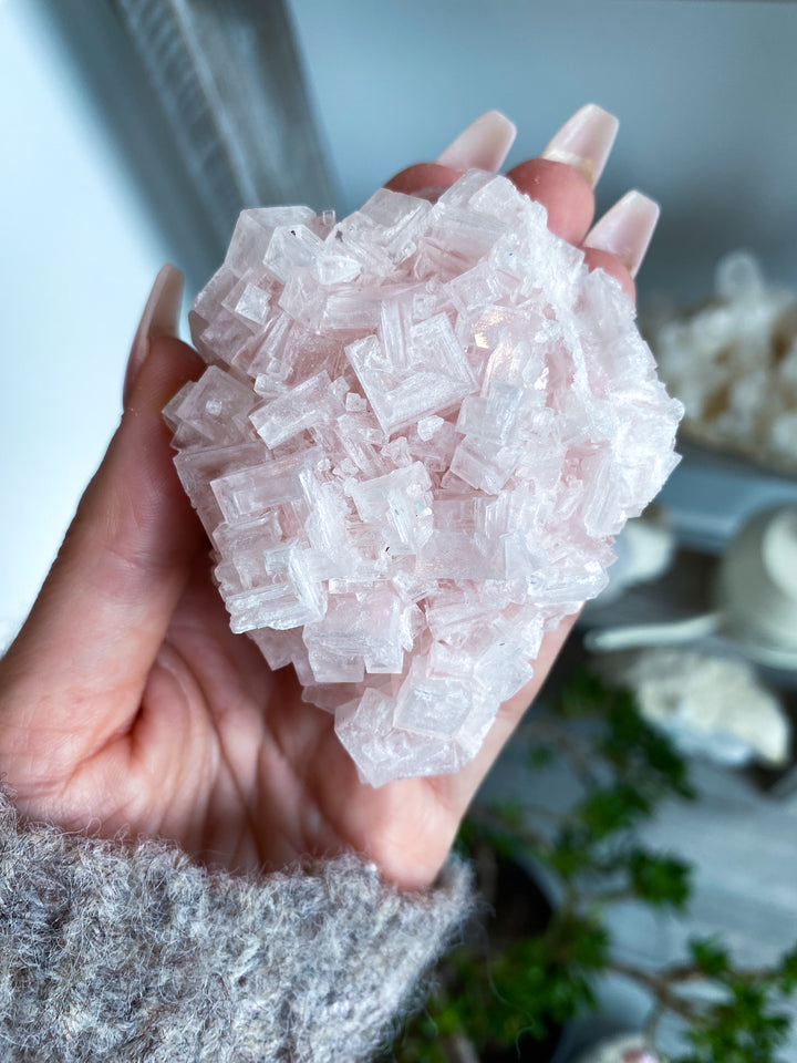 Pink Halite Cluster #2