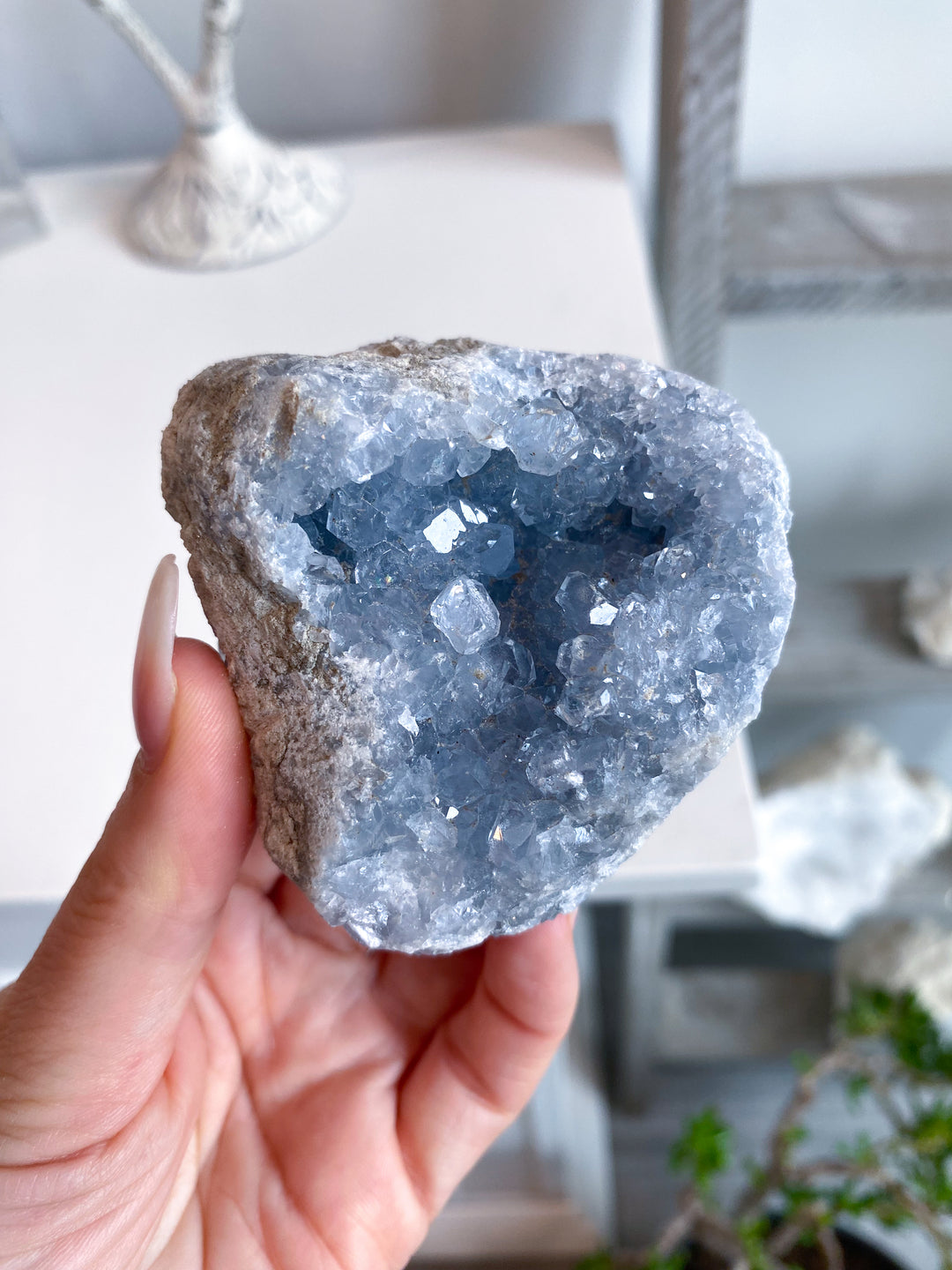 Double-sided Celestite Cluster #2