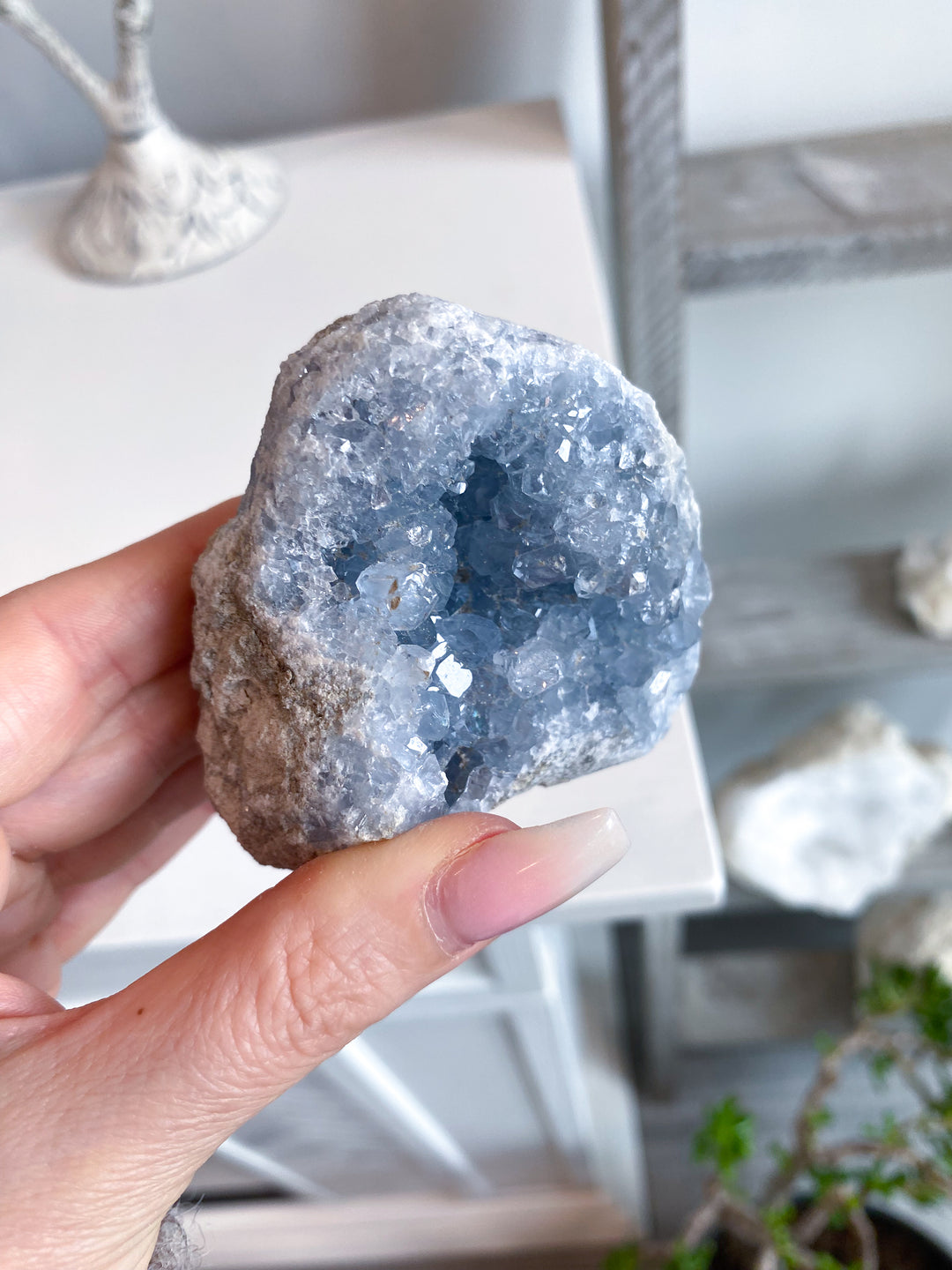 Double-sided Celestite Cluster #2
