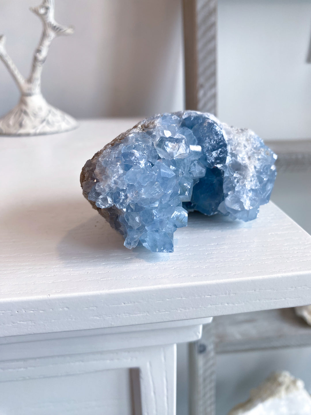 Long Celestite Cluster #16