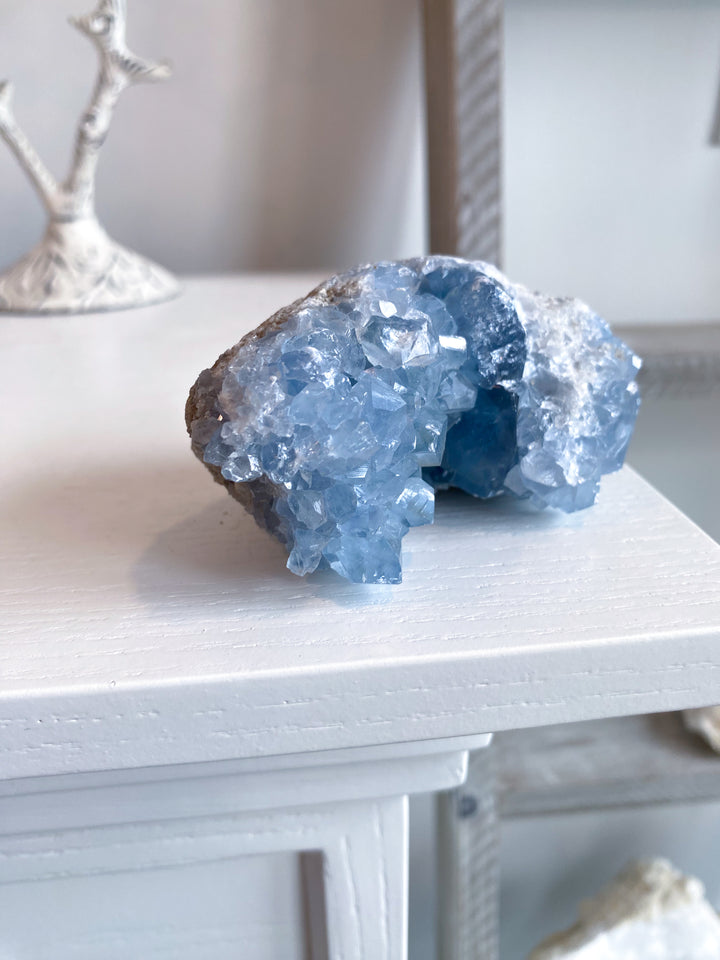 Long Celestite Cluster #16