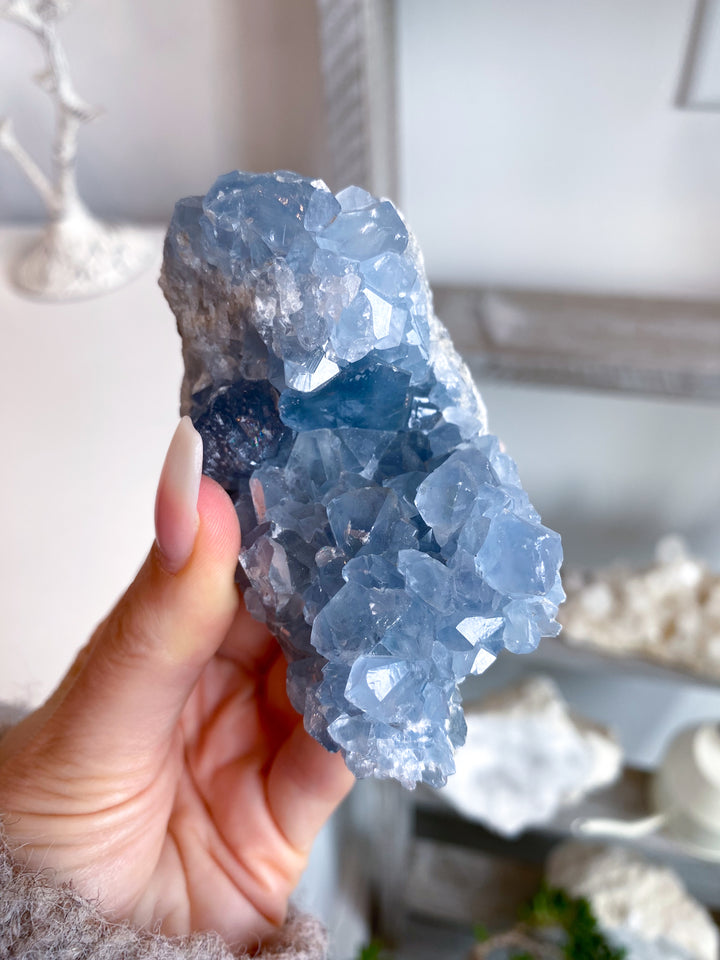 Long Celestite Cluster #16