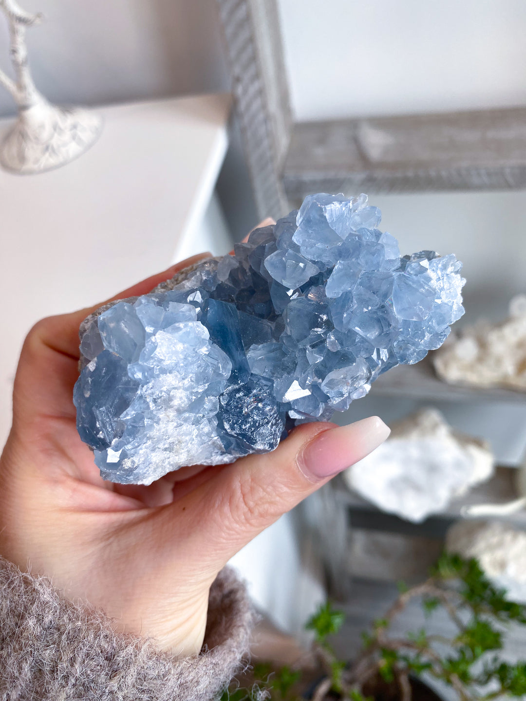 Long Celestite Cluster #16
