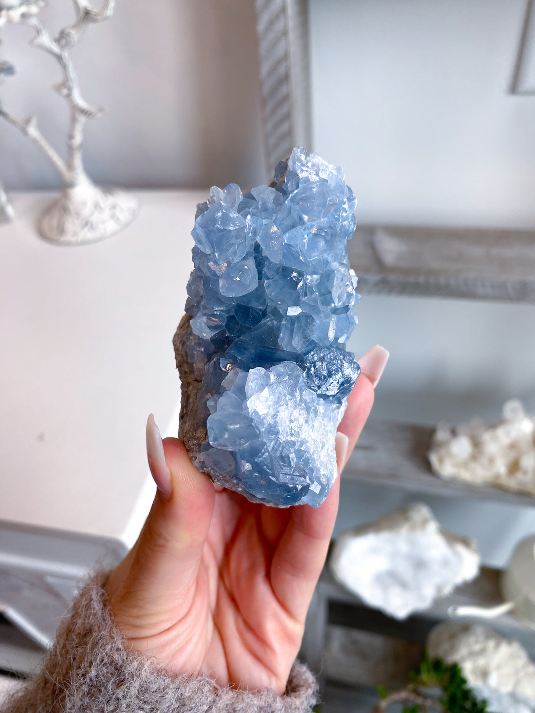Long Celestite Cluster #16