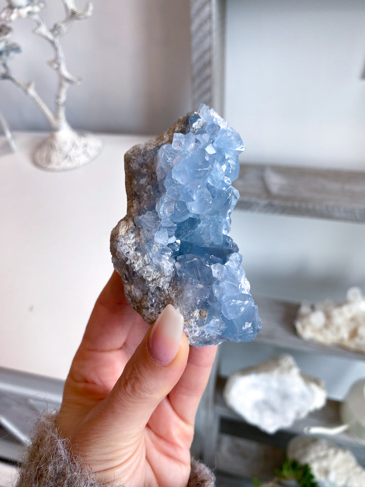 Long Celestite Cluster #16