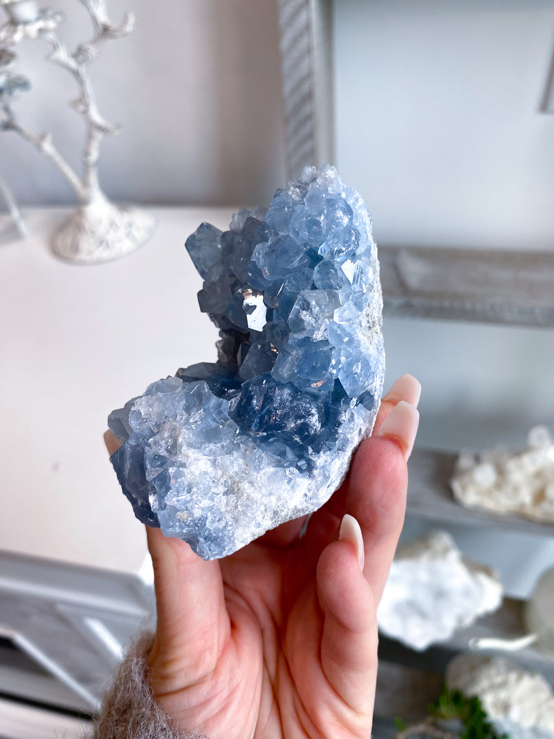 Long Celestite Cluster #16