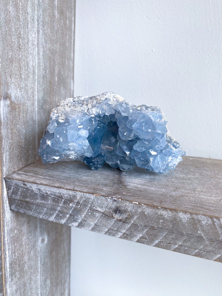 Long Celestite Cluster #16
