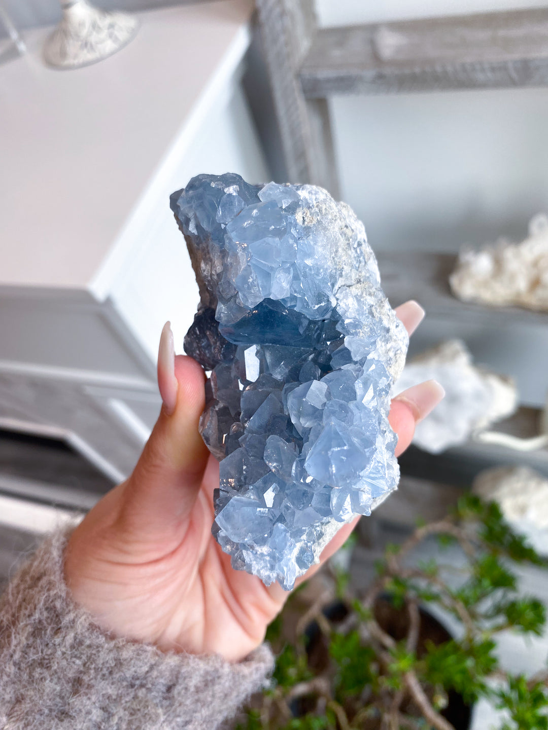 Long Celestite Cluster #16