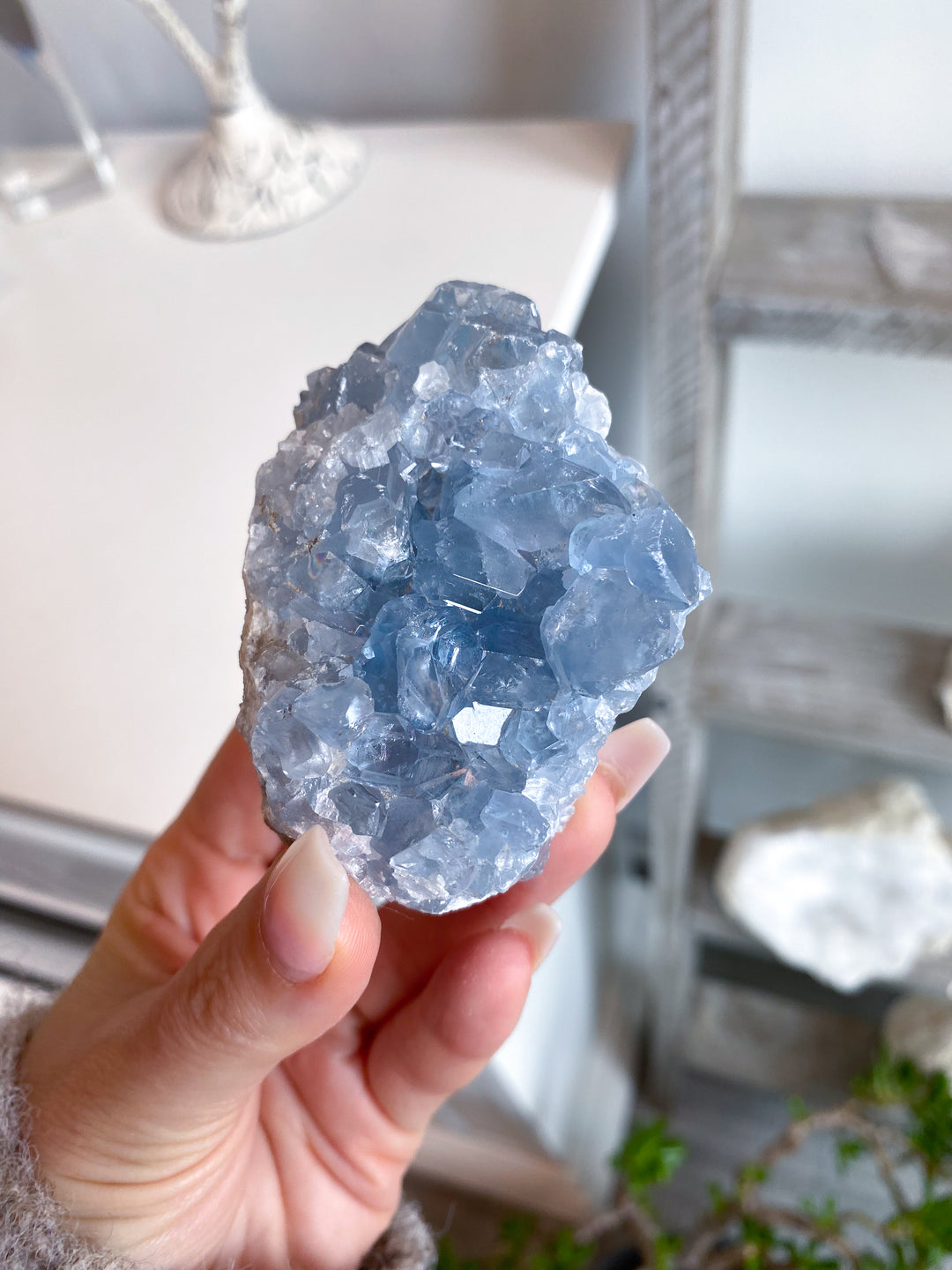 Gemmy Double-sided Celestite Cluster #6