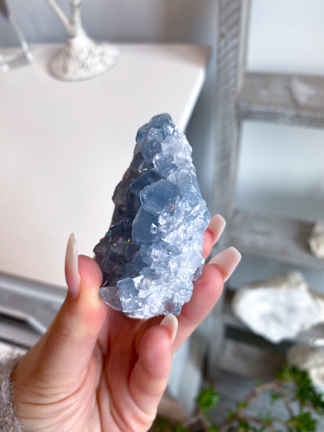 Gemmy Double-sided Celestite Cluster #6